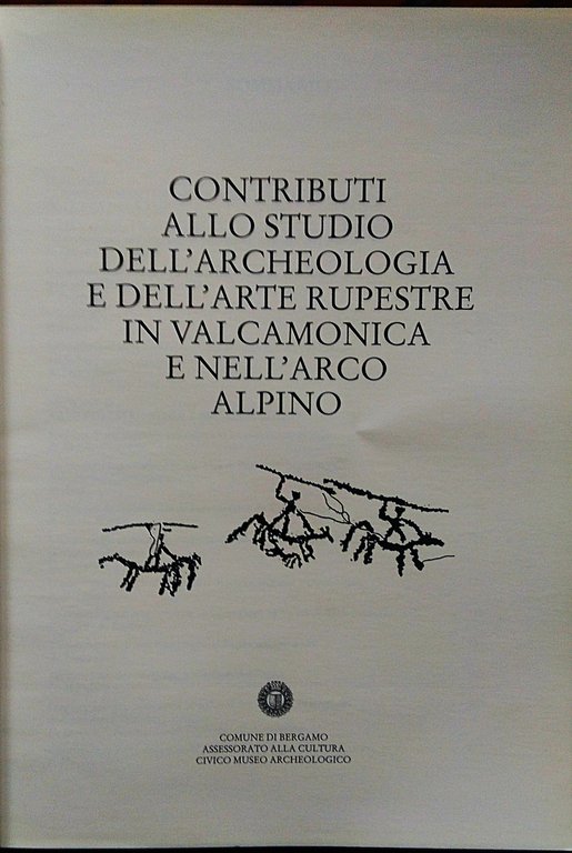 Notizie Archeologiche Bergomensi. 2/1994. Contributi allo studio dell'archeologia e dell'arte … | Immagine Gallery 2