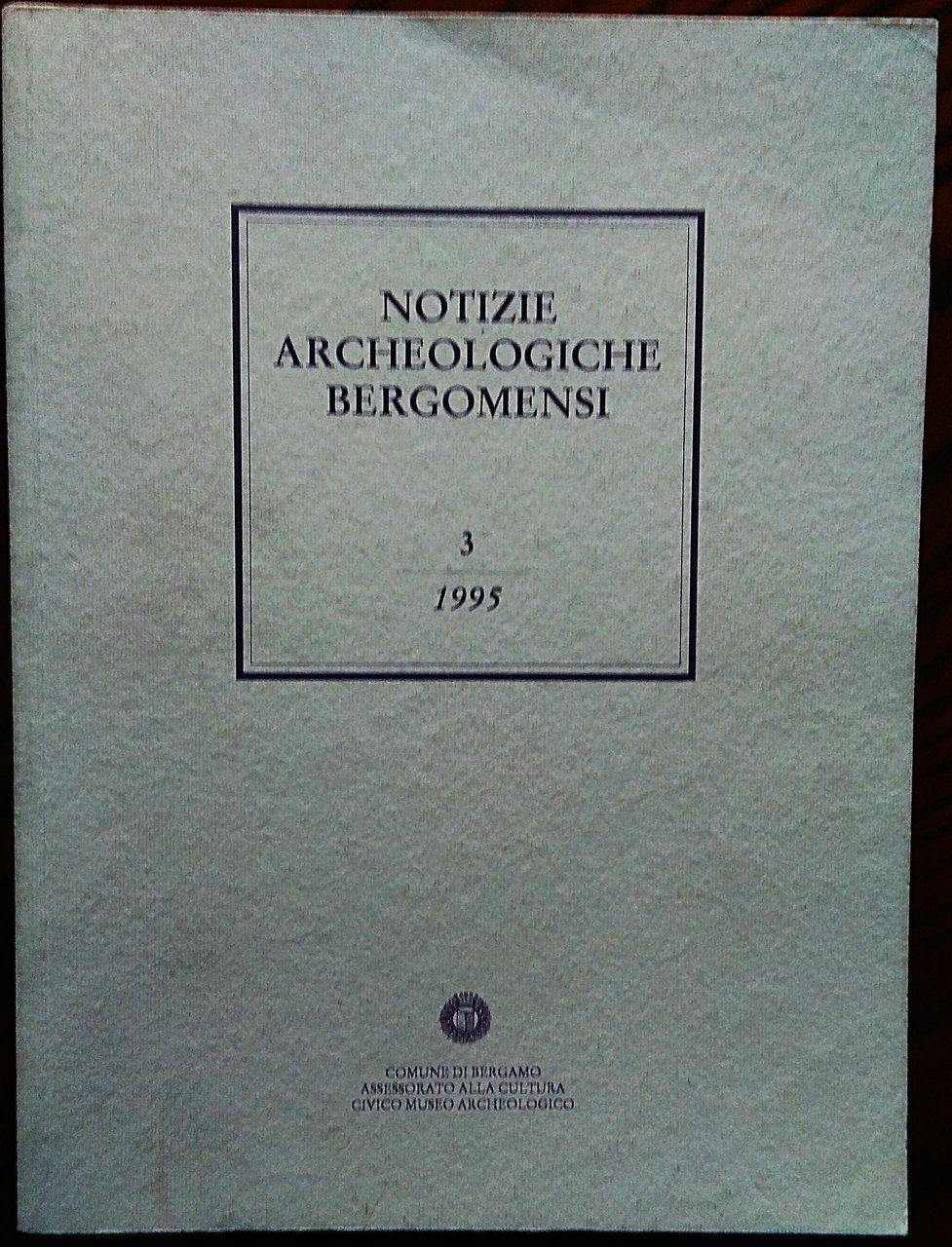 Notizie Archeologiche Bergomensi. 3/1995. Statue-stele e massi incisi nell'Europa dell'età … | Immagine principale
