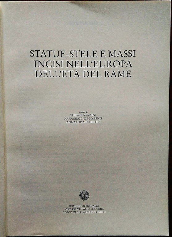 Notizie Archeologiche Bergomensi. 3/1995. Statue-stele e massi incisi nell'Europa dell'età … | Immagine Gallery 2