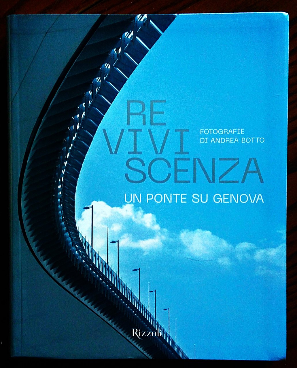 Reviviscenza. Un ponte su Genova. Fotografie di Andrea Botto.