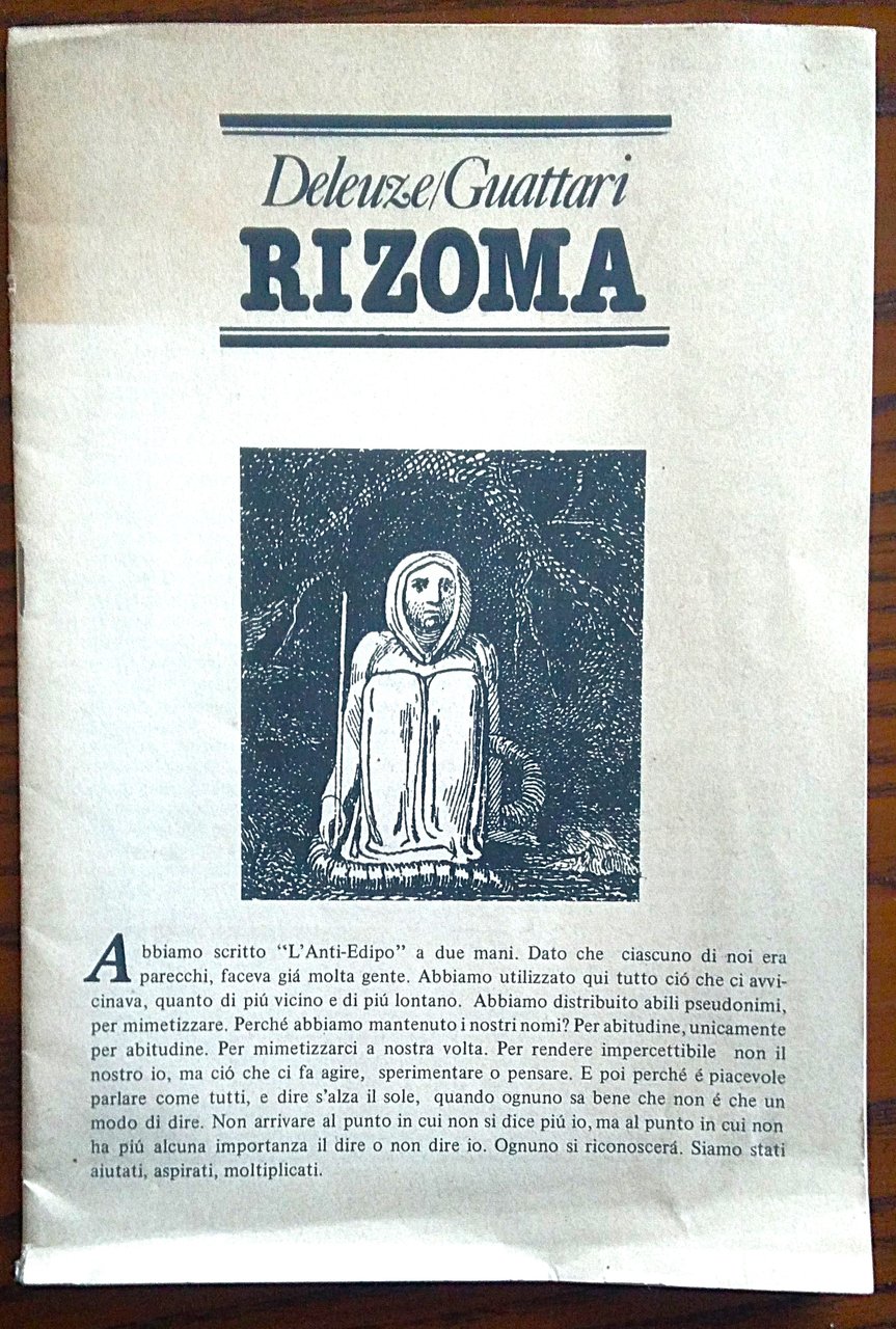 Rizoma.