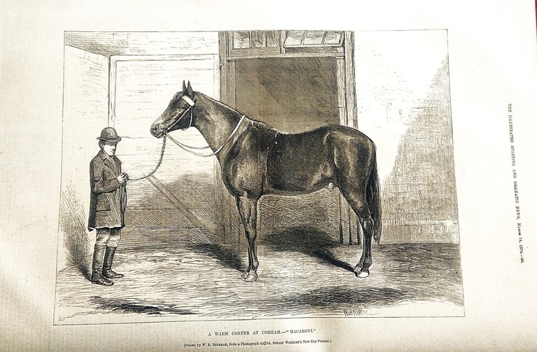 The Illustrated Sporting & Dramatic News. A High-class Weekly Journal …