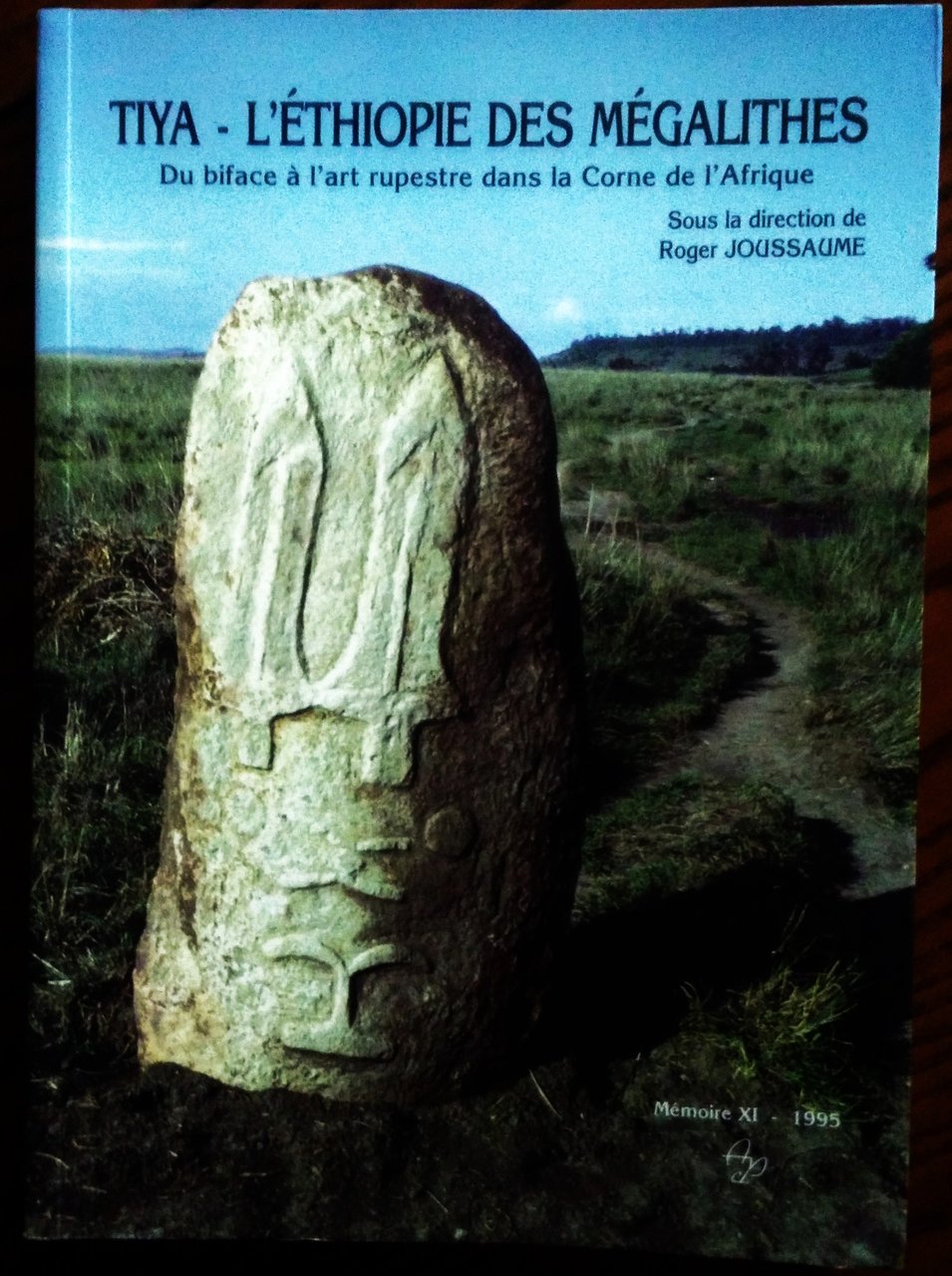 Tiya - L'Éthiopie des mégalithes. Du biface à l'art ruspestre …
