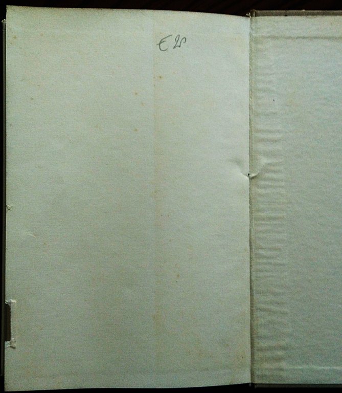 Triperuno.