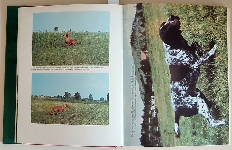 LA CACCIA (volumi I e II)