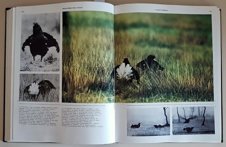 ENCICLOPEDIA DELLA CACCIA (volume I e II)