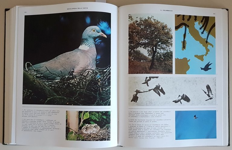 ENCICLOPEDIA DELLA CACCIA (volume I e II)