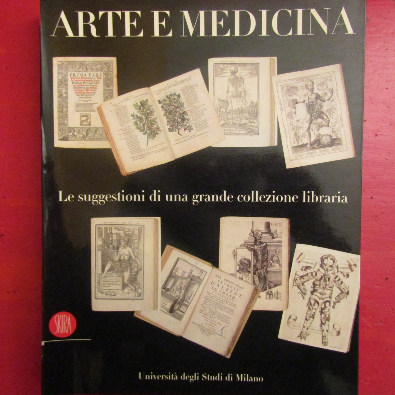 Arte e Medicina | Immagine principale