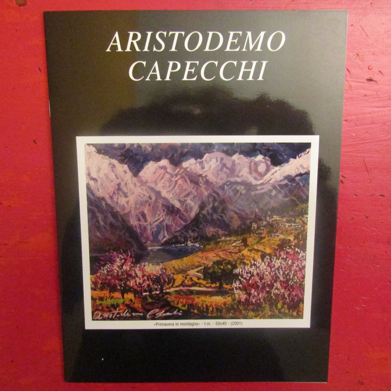 Aristodemo Capecchi | Immagine principale
