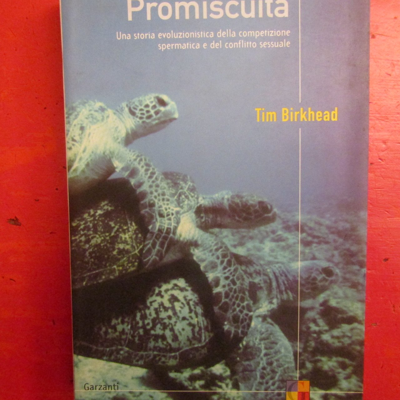 Promiscuità
