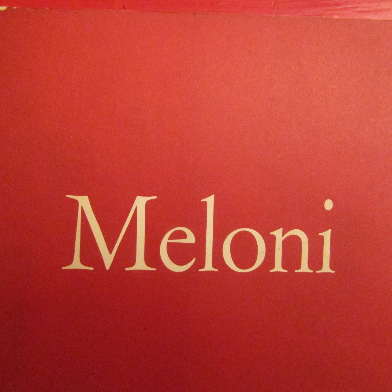 Gino Meloni | Immagine principale