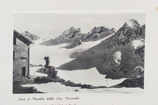 Cartolina - Cime di Musella dalla Capanna Marinelli - 1951
