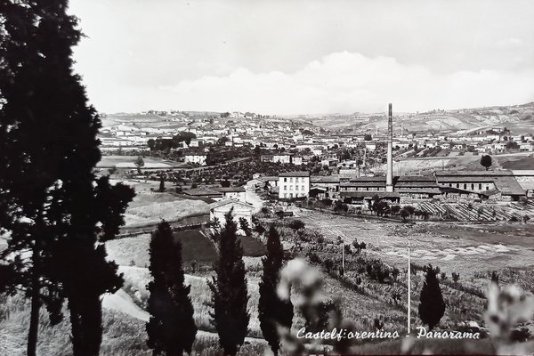 Cartolina - Castelfiorentino ( Firenze ) - Panorama - 1969