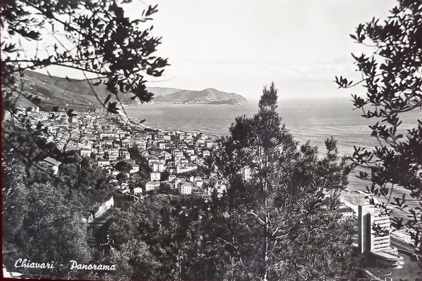 Cartolina - Chiavari - Panorama - 1952