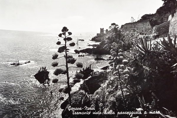 Cartolina - Genova-Nervi - Tramonto visto dalla Passeggiata a Mare …