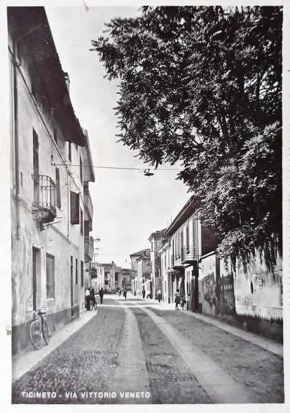 Cartolina - Ticineto - Via Vittorio Veneto - 1950 ca.