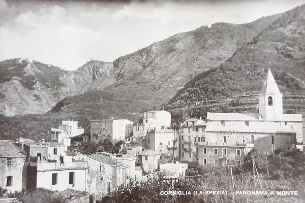 Cartolina - Corniglia ( La Spezia ) - Panorama a …