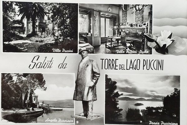 Cartolina - Saluti da Torre del Lago Puccini - Vedute …