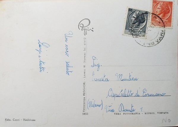 Cartolina - Nebbiuno (Novara) - Panorama - 1957