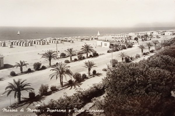 Cartolina - Marina di Massa - Panorama e Viale Litoraneo …