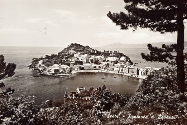 Cartolina - Sestri - Penisola a Levante - 1956