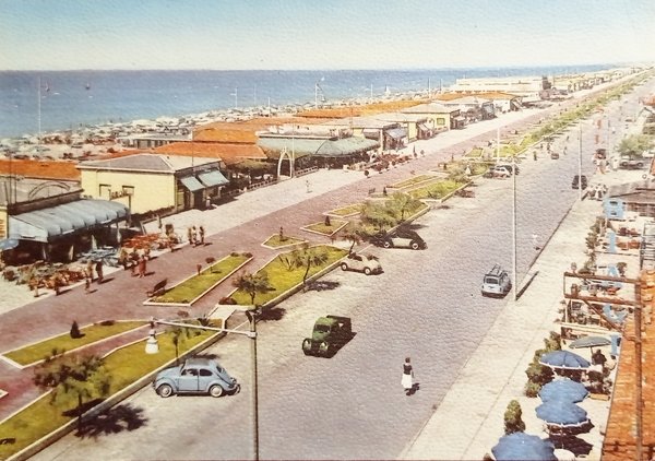 Cartolina - Lido di Camaiore - Viali Lungomare - 1950 …
