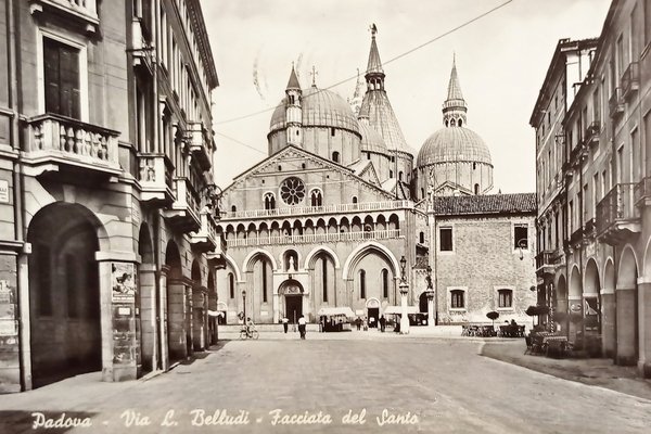 Cartolina - Padova - Via L. Belludi - Facciata del …