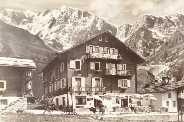 Cartolina - M. Rosa - Macugnaga Pecetto - Albergo Edelweiss …