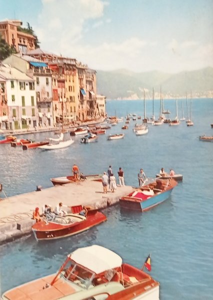 Cartolina - Portofino - Panorama - 1962