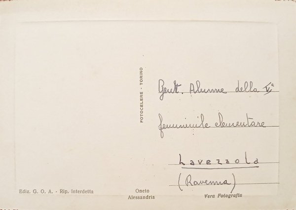 Cartolina - Alessandria - Fontana e Giardini - 1950 ca.