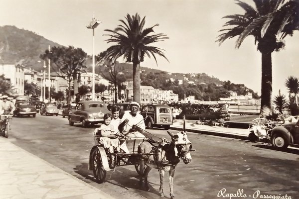 Cartolina - Rapallo - Passeggiata - 1957