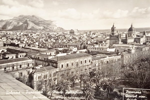 Cartolina - Palermo - Panorama e Monte Pellegrino - 1960 …