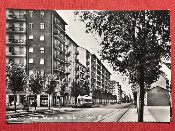 Cartolina - Torino - Corso Belgio e la Mole da … | Immagine Gallery 1