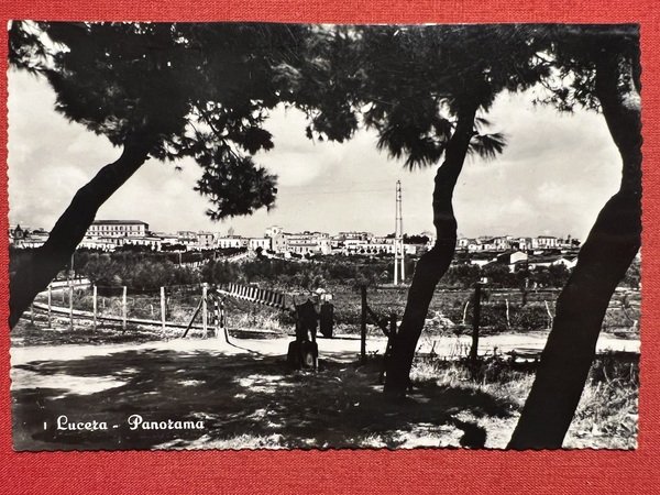 Cartolina - Lucera ( Foggia ) - Panorama - 1950 …