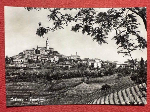 Cartolina - Calosso ( Asti ) - Panorama - 1950 …