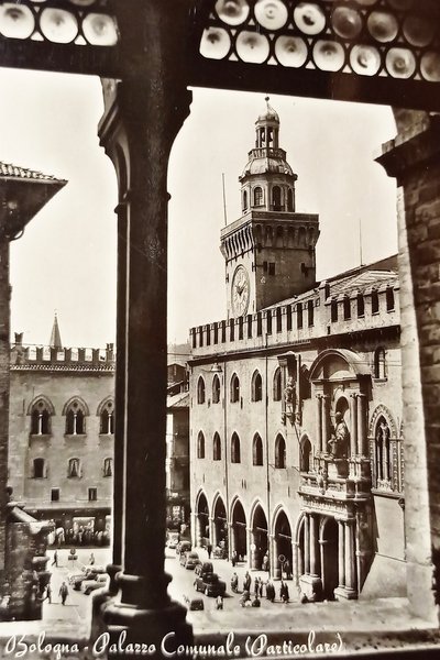 Cartolina - Bologna - Palazzo Comunale ( Particolare ) - …