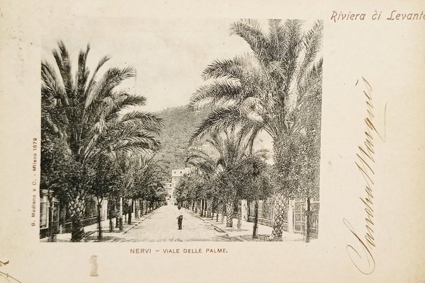 Cartolina - Riviera di Levante - Nervi - Viale delle …