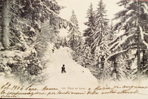 Cartolina - Francia - Caux en Hiver - 1904