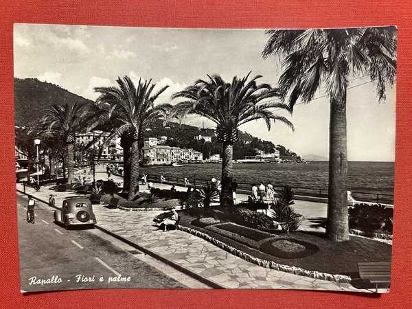 Cartolina - Rapallo ( Genova ) - Fiori e Palme …