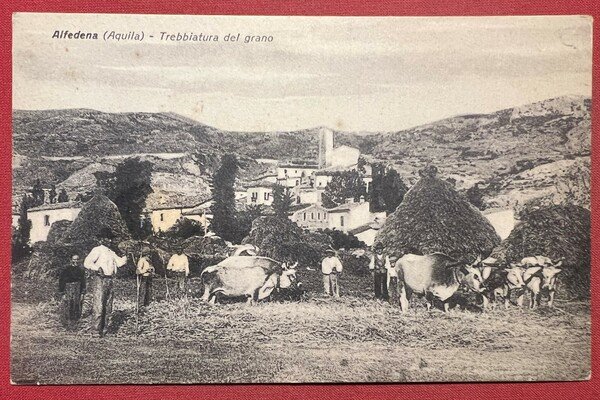 Cartolina - Alfedena ( L'Aquila ) - Trebbiatura del Grano …
