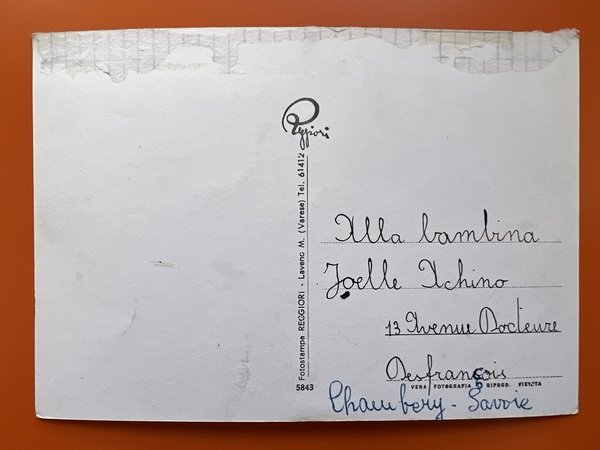 Cartolina - Lago Maggiore - Arona ( Novara ) - …