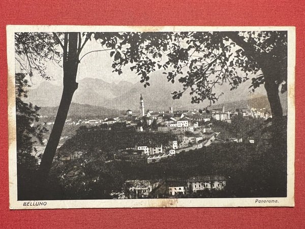 Cartolina - Belluno - Panorama - 1925