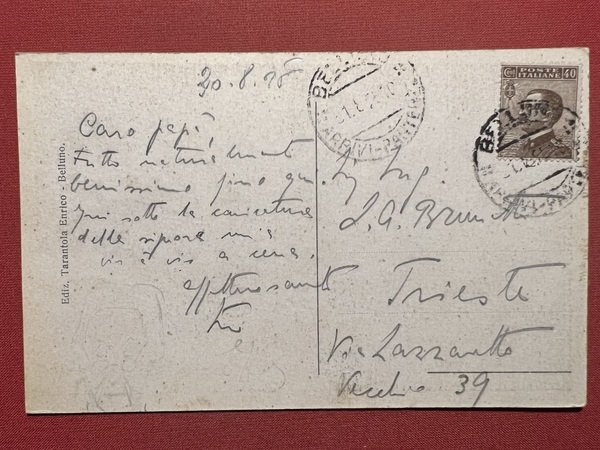 Cartolina - Belluno - Panorama - 1925