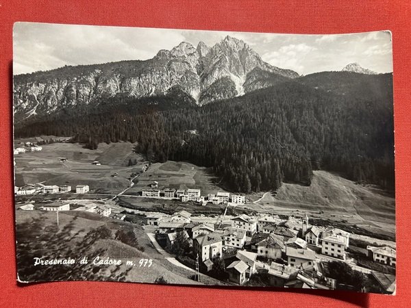Cartolina - Presenaio di Cadore ( Belluno ) - Panorama …