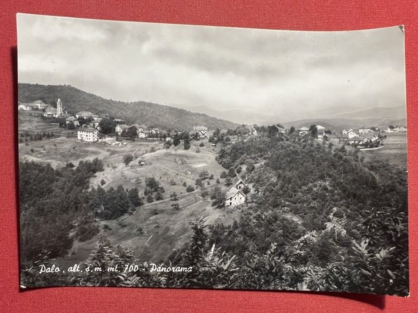 Cartolina - Palo ( Bari ) - Panorama - 1964