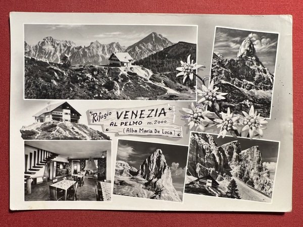 Cartolina - Rifugio Venezia al Pelmo ( Alba Maria De …