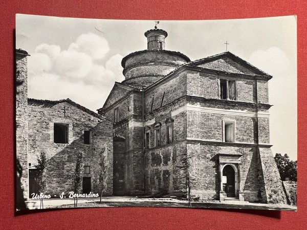 Cartolina - Urbino - S. Bernardino - 1967