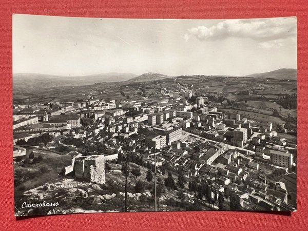 Cartolina - Campobasso - Panorama - 1951