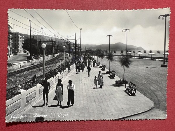 Cartolina - Lavagna ( Genova ) - Ritorno dai Bagni … | Immagine Gallery 2