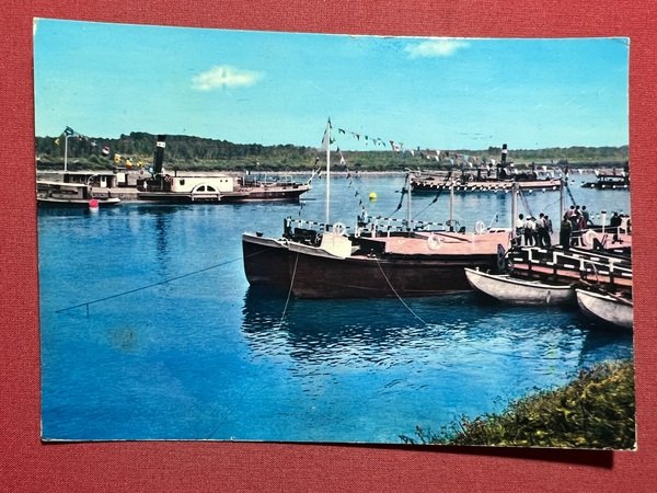 Cartolina - Festa sul Po - Pianura Reggiana con Mantovana … | Immagine Gallery 2